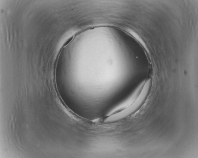 X0000070431197200606302118