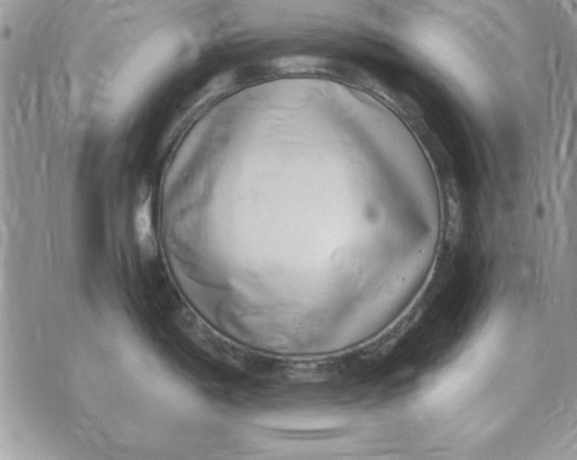 X0000070431198200606302118