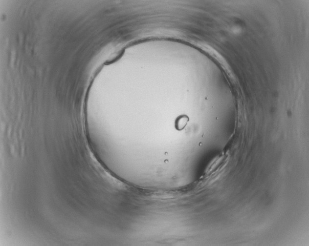 X0000070431199200606302118