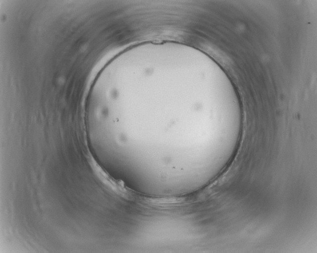 X0000070431200200606302118