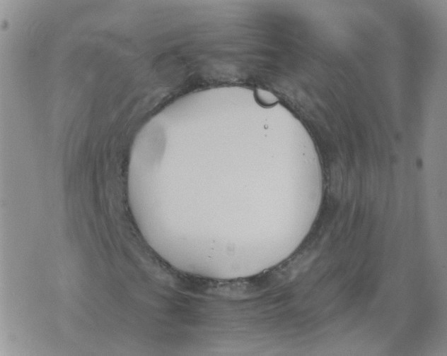 X0000070431201200606302117