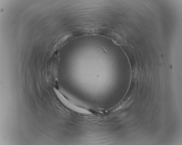 X0000070431202200606302117