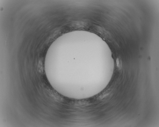 X0000070431203200606302117