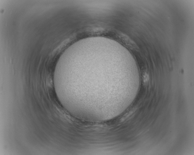 X0000070431204200606302117