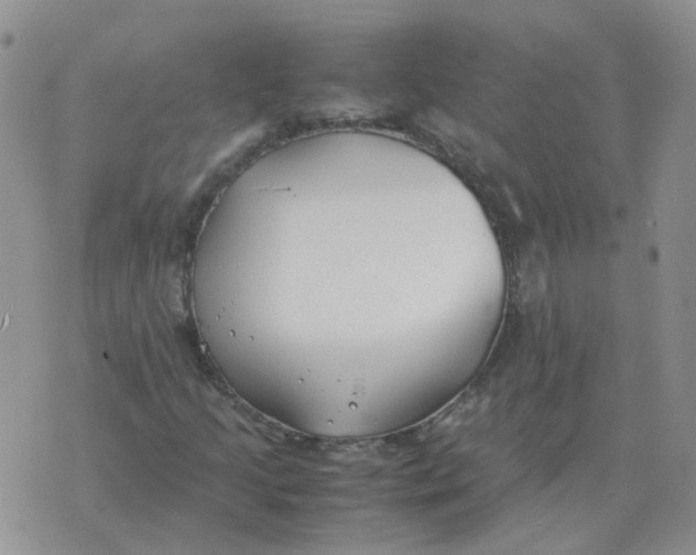 X0000070431205200606302117