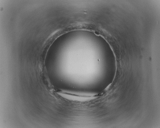 X0000070431206200606302118