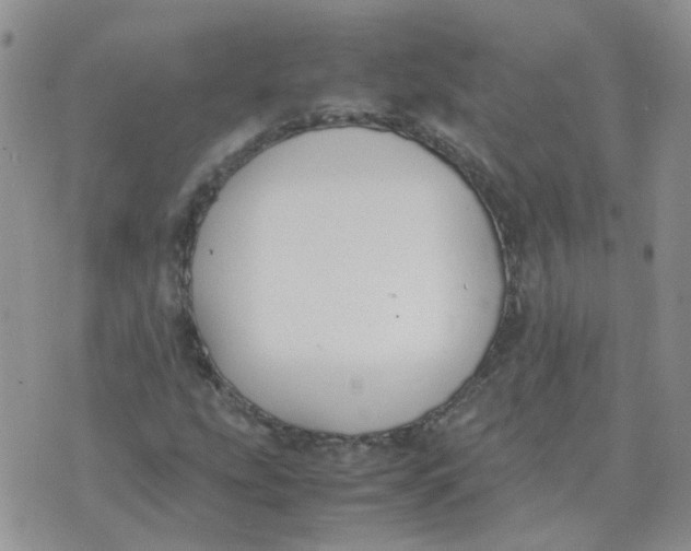 X0000070431207200606302118