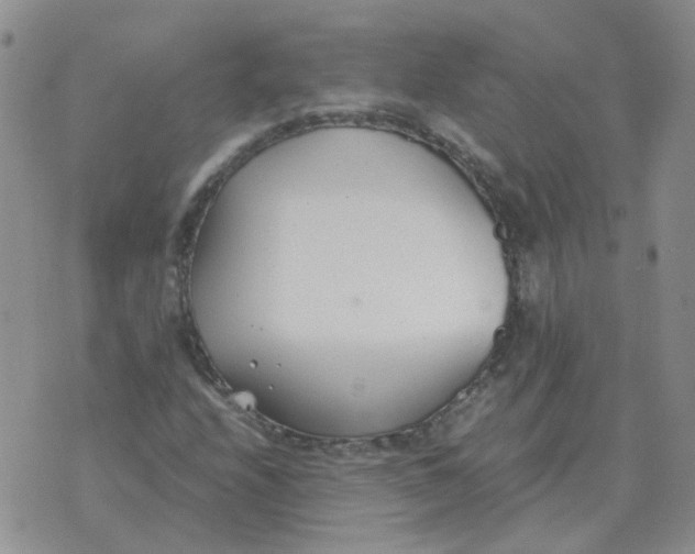 X0000070431208200606302118