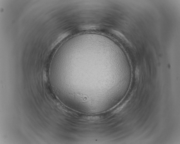 X0000070431209200606302118