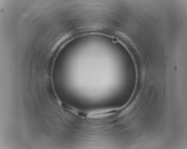 X0000070431210200606302118