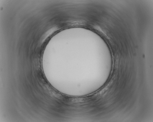 X0000070431211200606302118