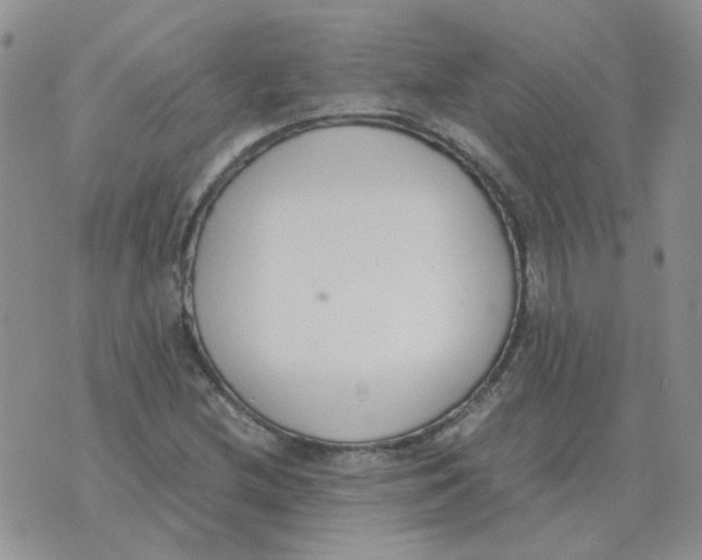 X0000070431212200606302118