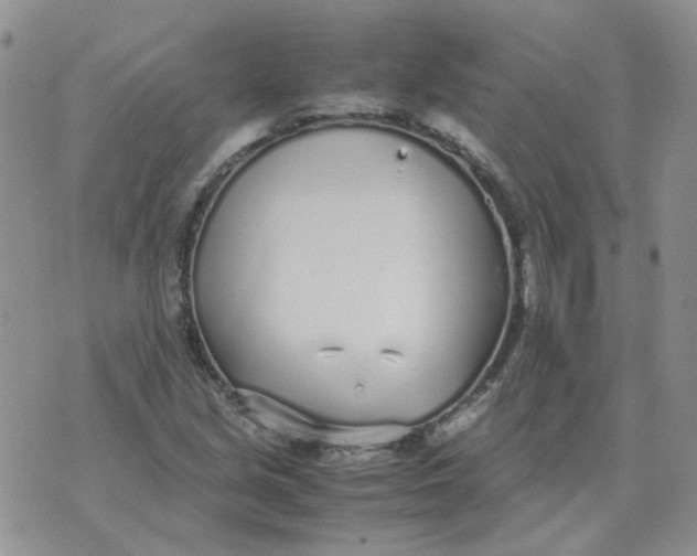 X0000070431213200606302118