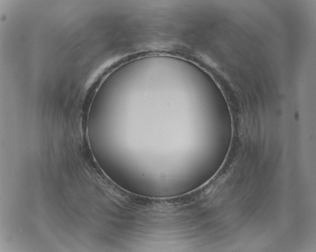 X0000070431214200606302118