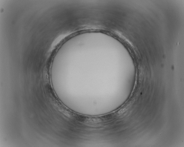 X0000070431215200606302118