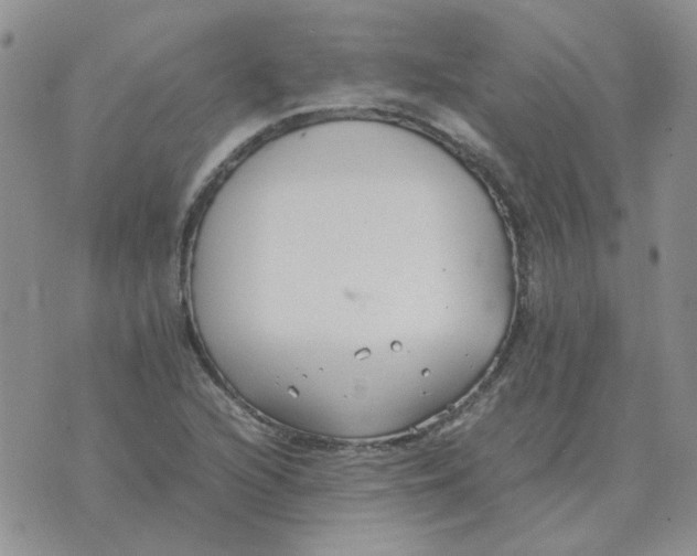 X0000070431216200606302118