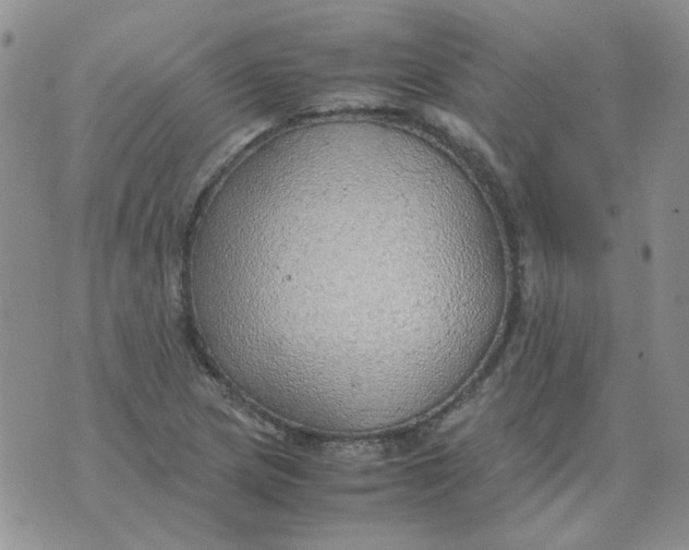 X0000070431217200606302118