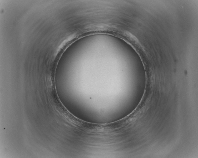 X0000070431218200606302118