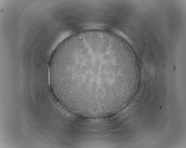 X0000070431219200606302118