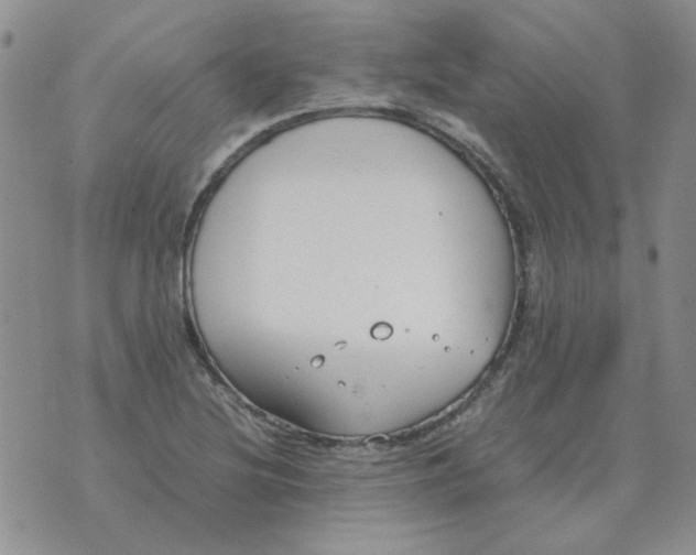 X0000070431220200606302118