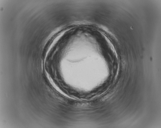 X0000070431221200606302118