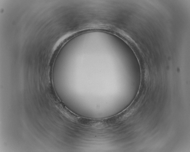 X0000070431222200606302118