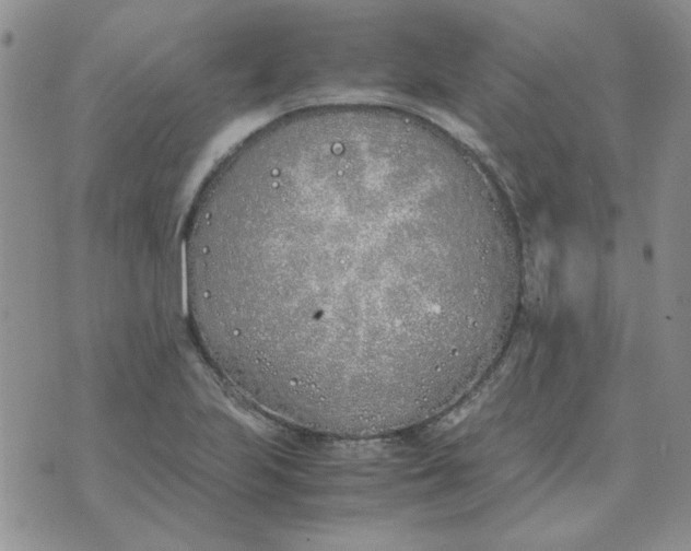 X0000070431223200606302118