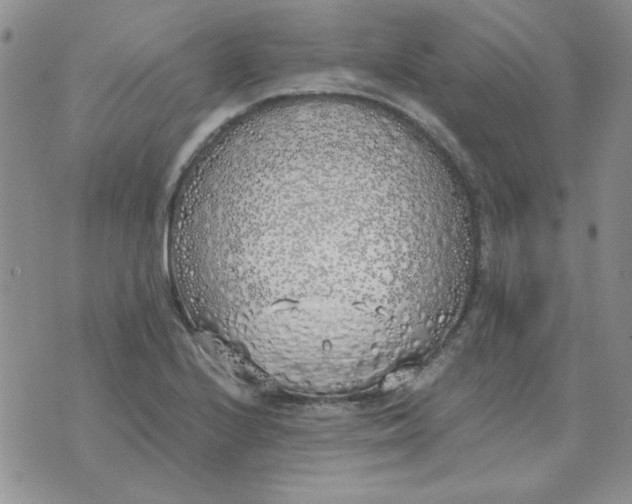 X0000070431224200606302118