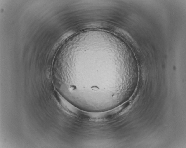 X0000070431225200606302118