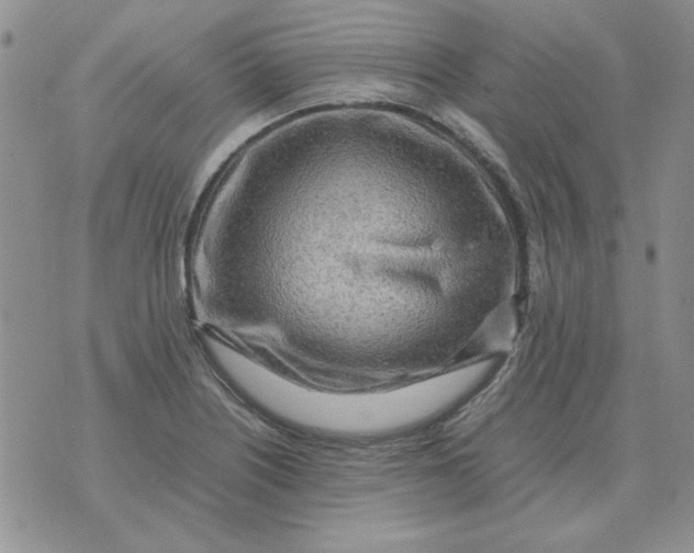 X0000070431226200606302118