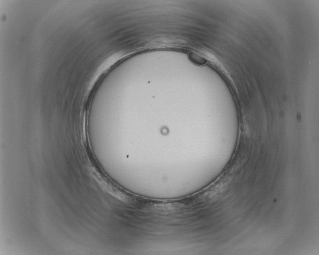 X0000070431227200606302118