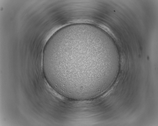 X0000070431228200606302118