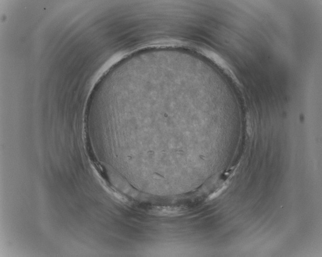 X0000070431229200606302118