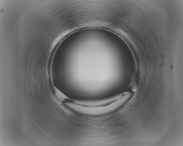 X0000070431230200606302118