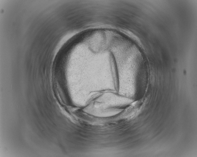 X0000070431231200606302118