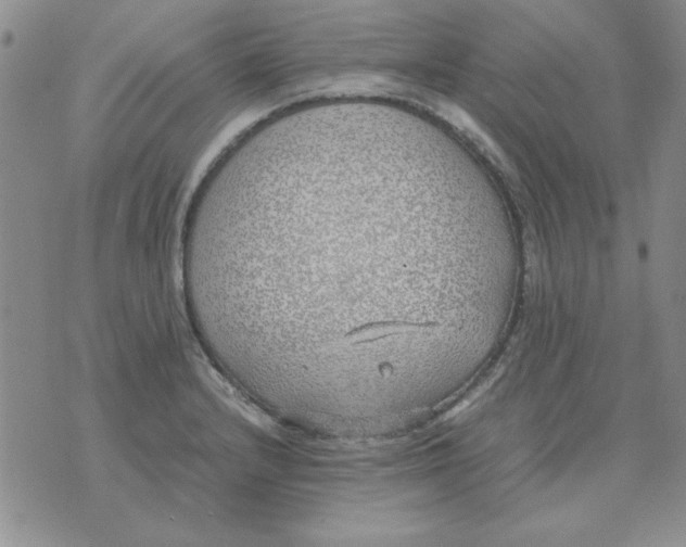 X0000070431232200606302118