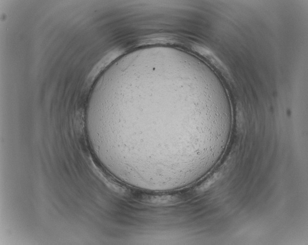 X0000070431233200606302118