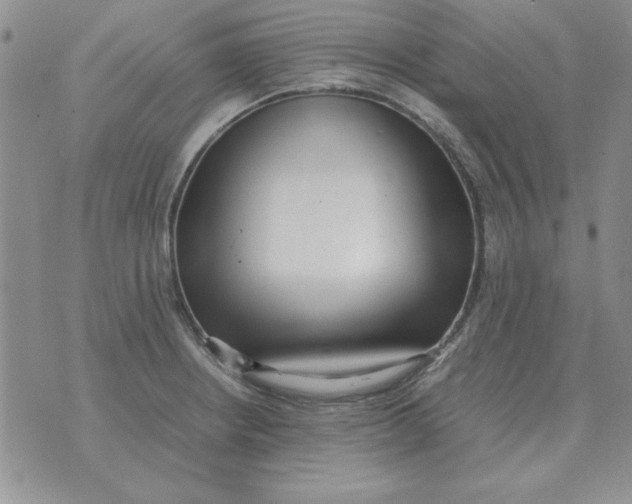 X0000070431234200606302118