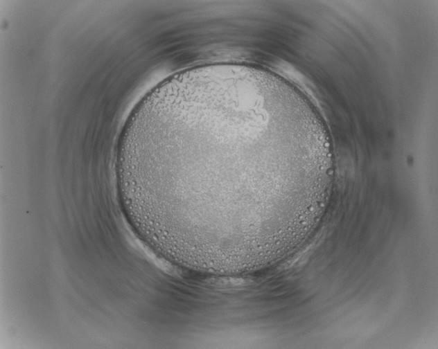 X0000070431235200606302118