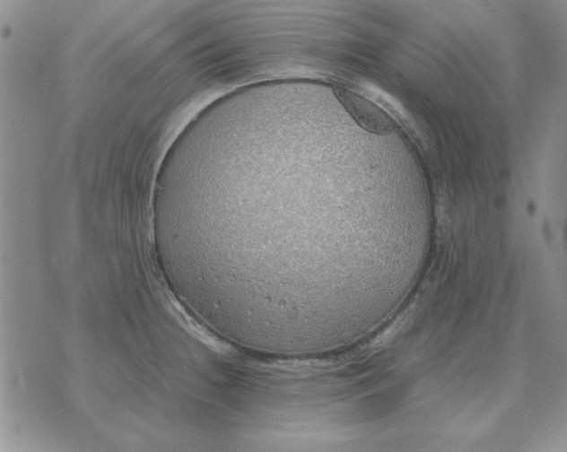 X0000070431236200606302118