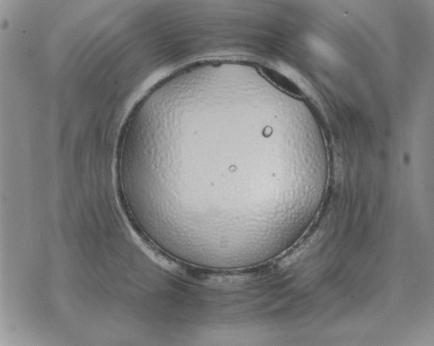 X0000070431237200606302118