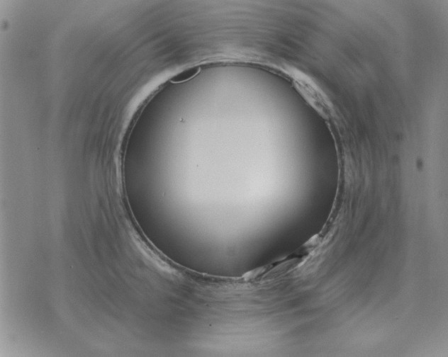 X0000070431238200606302118