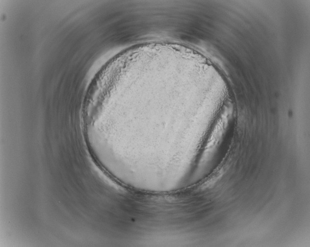 X0000070431239200606302118