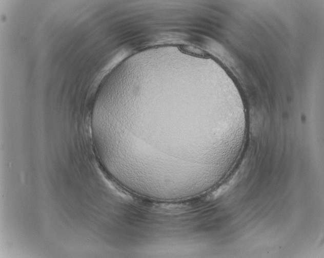 X0000070431241200606302118