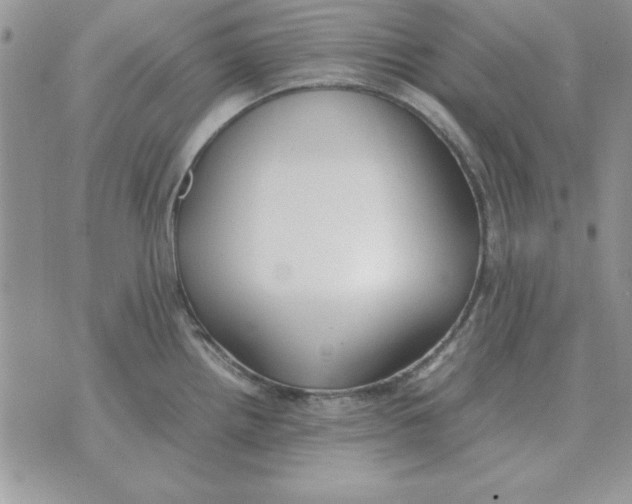 X0000070431242200606302118