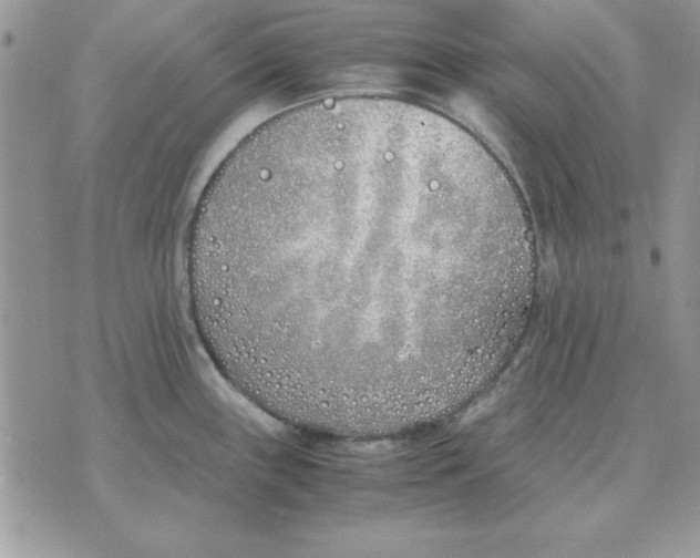 X0000070431243200606302118