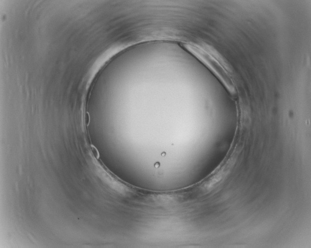 X0000070431246200606302118