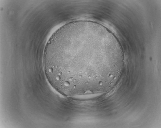 X0000070431247200606302118