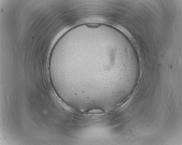 X0000070431248200606302118