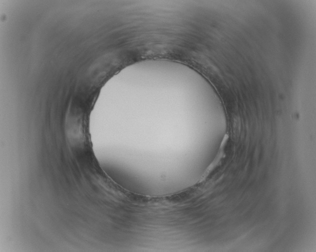 X0000070431250200606302117